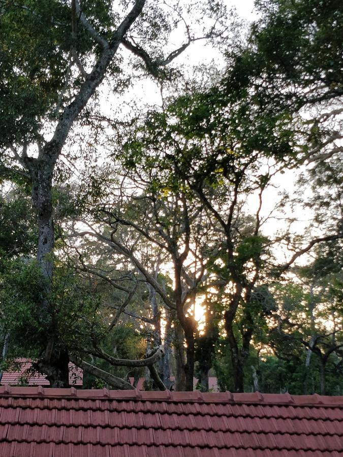 The Birchwood Retreat, Madikeri Hotel Ngoại thất bức ảnh